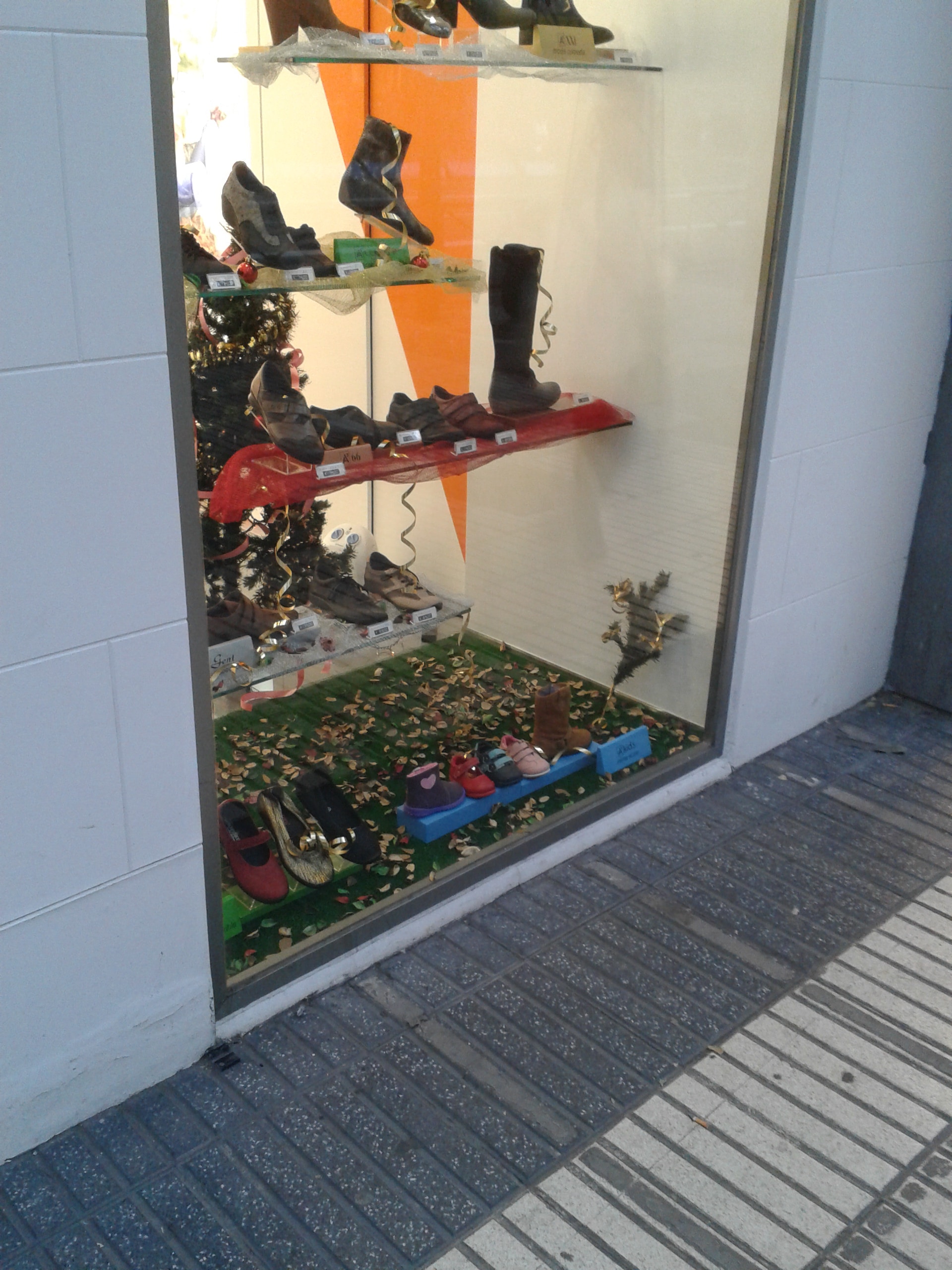 Licencia zapateria arcopedico 2