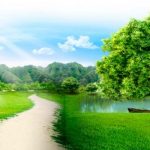 Contenido m&iacute;nimo de la memoria ambiental 150x150