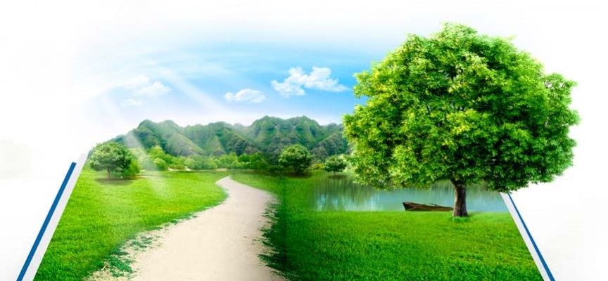 Contenido m&iacute;nimo de la memoria ambiental