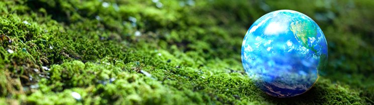 Contenido memoria ambiental