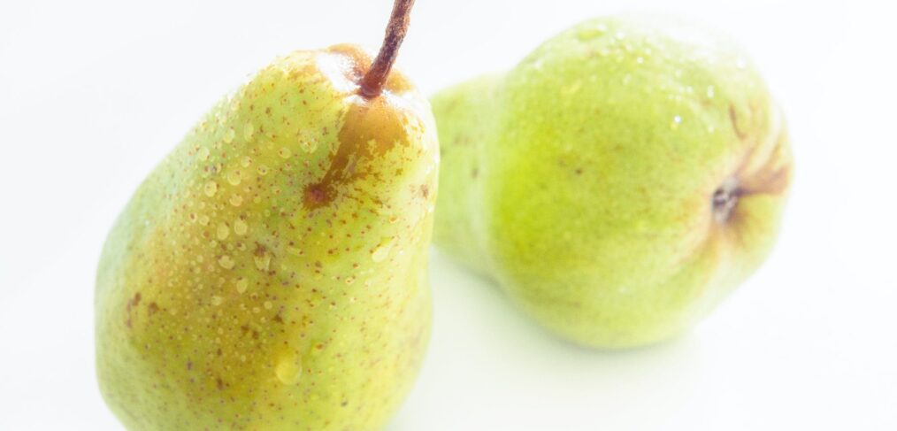 Licencia Actividad Frutería 1