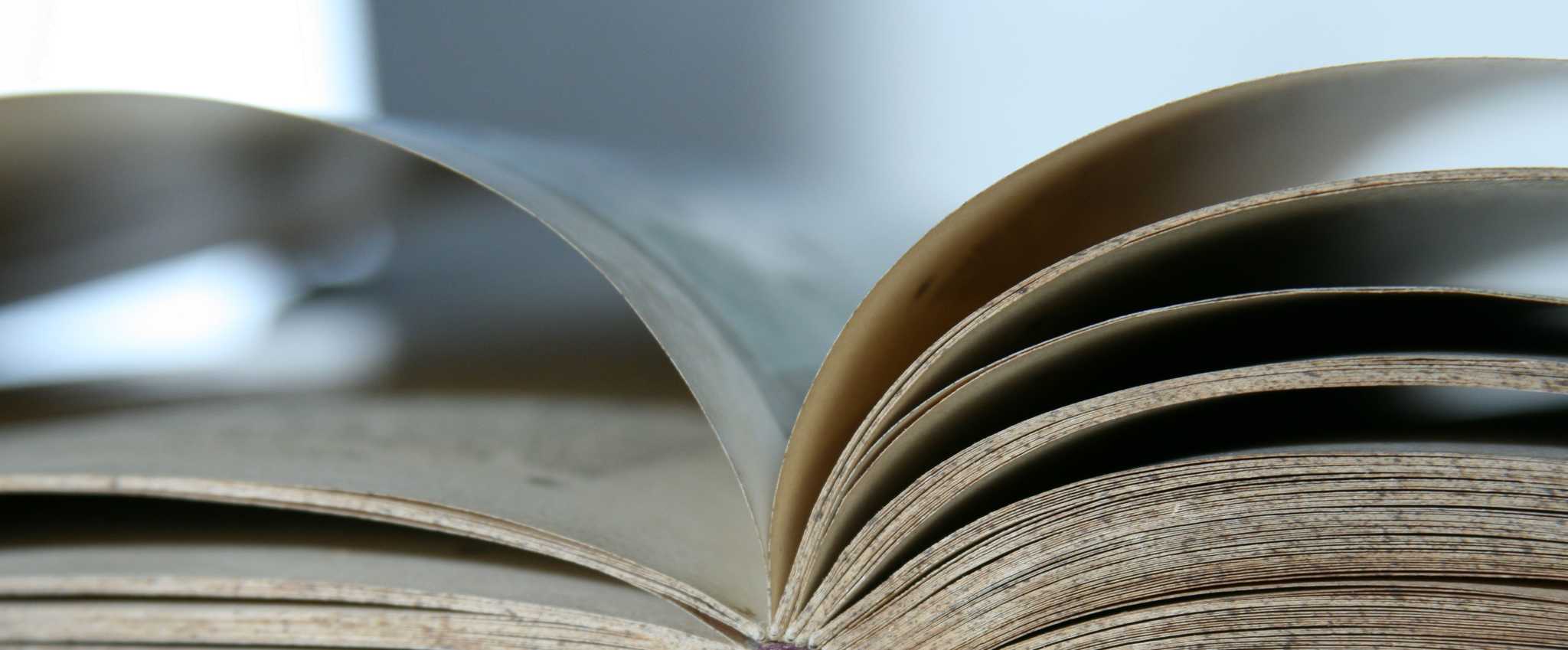 licencia actividad procedimiento